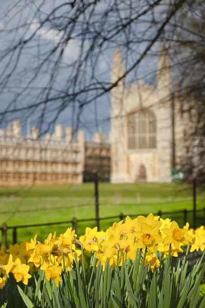UK, England, Cambridge, Cambridge University, Kings College, Kings College Chapel