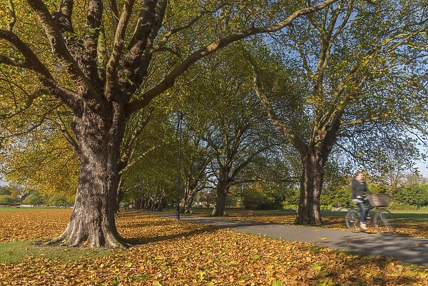 UK, England, Cambridge, Jesus Green in Autumn