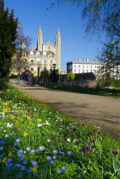 UK, England, Cambridge, Kings College from Clare College in the Spring
