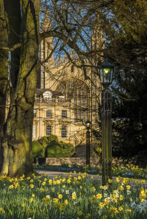 Framed Print : UK, England, Cambridge, Kings College from Clare College in the Spring Framed Print : UK, England, Cambridge, Kings College from Clare College in the Spring