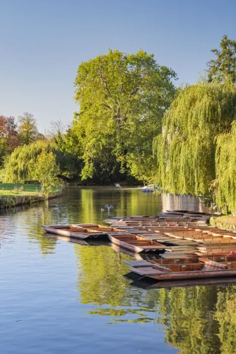 Framed Print : UK, England, Cambridge, River Cam, The Mill Pond, Punts Framed Print : UK, England, Cambridge, River Cam, The Mill Pond, Punts