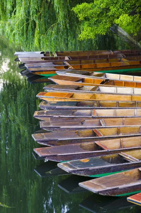 Framed Print : UK, England, Cambridge, River Cam, Punts Framed Print : UK, England, Cambridge, River Cam, Punts
