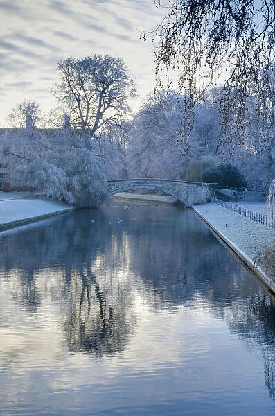 UK, England, Cambridgeshire, Cambridge, River Cam along The Backs in Winter