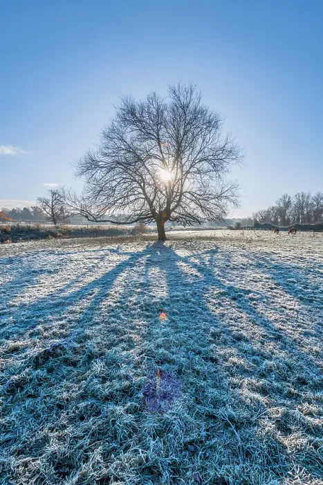 Framed Print : UK, England, Cambridgeshire, Grantchester, Grantchester Meadows, frosty morning