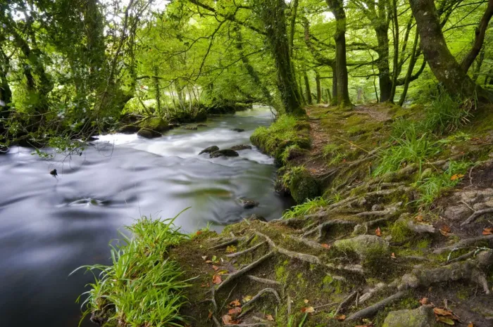 Framed Print : UK, England, Cornwall, Bodmin Moor, Golitha Falls Framed Print : UK, England, Cornwall, Bodmin Moor, Golitha Falls