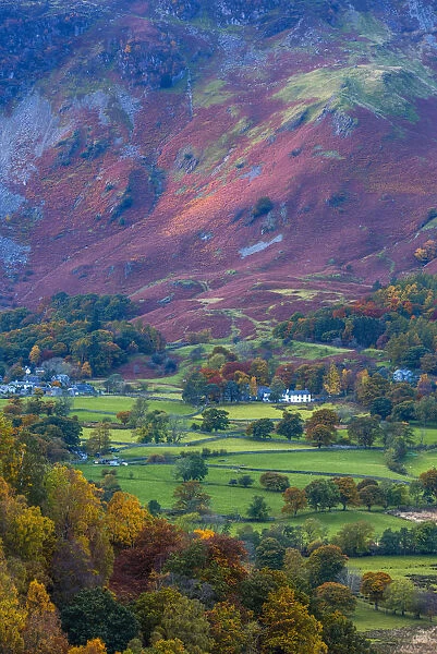 UK, England, Cumbria, Lake District, Borrowdale on south bank of Derwentwater