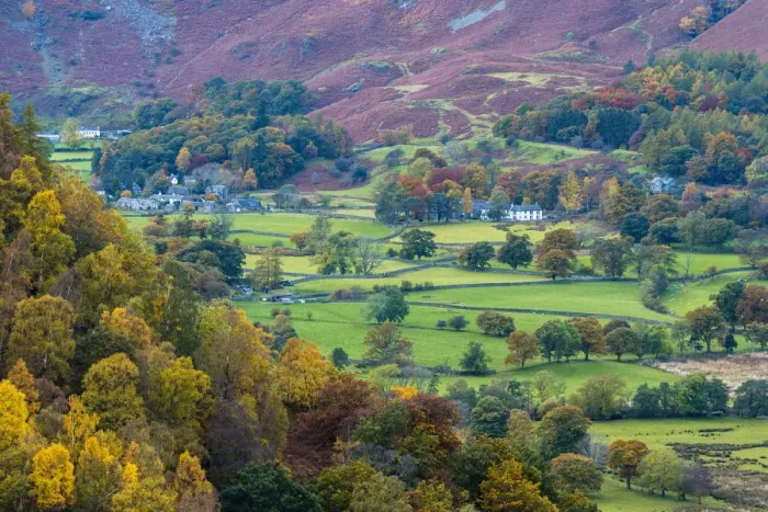 Framed Print : UK, England, Cumbria, Lake District, Borrowdale on south bank of Derwentwater Framed Print : UK, England, Cumbria, Lake District, Borrowdale on south bank of Derwentwater