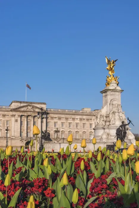 Framed Print : UK, England, London, Buckingham Palace