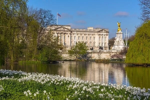 UK, England, London, Buckingham Palace from St Jamess Park