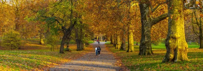 Framed Print : UK, England, London, Green Park in Autumn Framed Print : UK, England, London, Green Park in Autumn