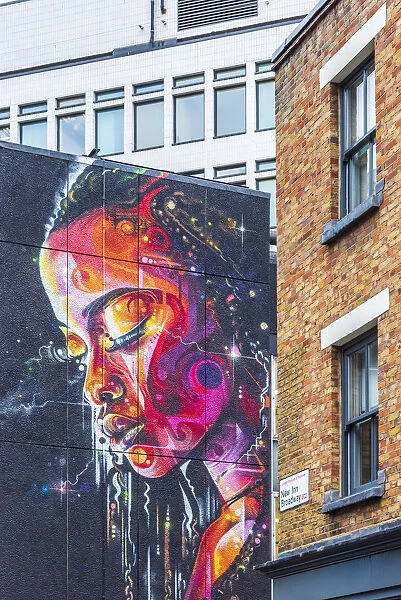 UK, England, London, Hackney, Shoreditch, New Inn Road, mural by Mr Cenz and Lovepusher