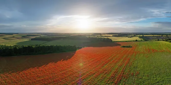 Framed Print : UK, England, Norfolk, Great Massingham, Poppy Field Framed Print : UK, England, Norfolk, Great Massingham, Poppy Field