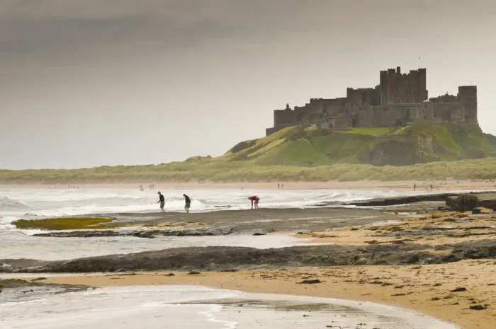 Framed Print : UK, England, Northumberland, Bamburgh Castle