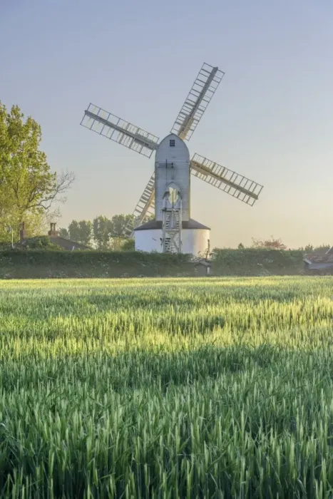 Framed Print : UK, England, Suffolk, Saxtead Green, Saxtead Green Windmill