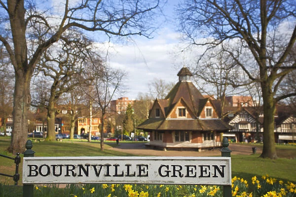 UK, England, West Midlands, Birmingham, Bournville, Daffodils on Bournville Village