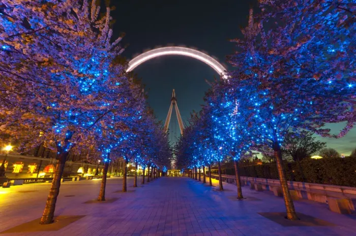 Framed Print : UK, London, London Eye Framed Print : UK, London, London Eye