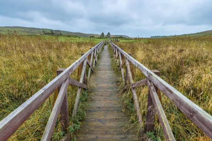 Framed Print : UK, Scotland, Argyll and Bute, Islay, Loch Finlaggan, Boardwalk to Eilean Mor (Large Framed Print : UK, Scotland, Argyll and Bute, Islay, Loch Finlaggan, Boardwalk to Eilean Mor (Large