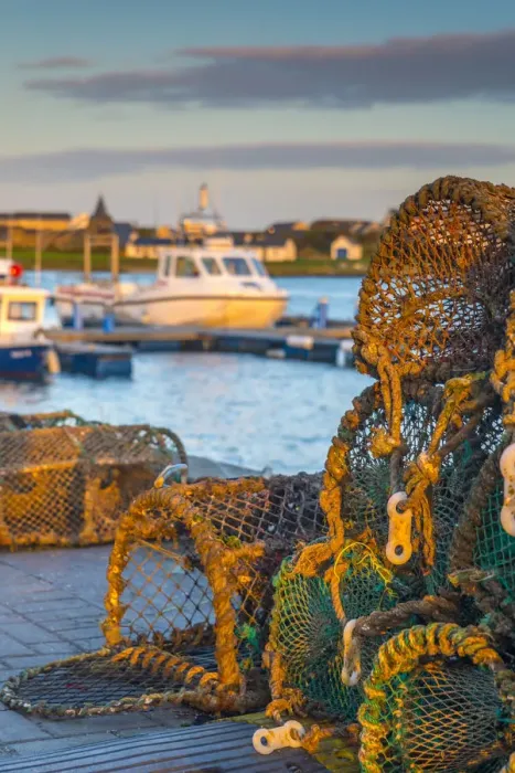 Framed Print : UK, Scotland, Argyll and Bute, Islay, Port Ellen, Loch Leodamais, Lobster Pots