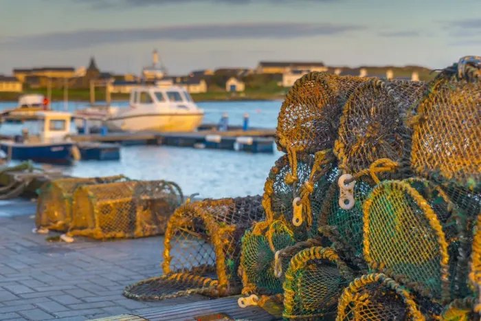 Framed Print : UK, Scotland, Argyll and Bute, Islay, Port Ellen, Loch Leodamais, Lobster Pots Framed Print : UK, Scotland, Argyll and Bute, Islay, Port Ellen, Loch Leodamais, Lobster Pots