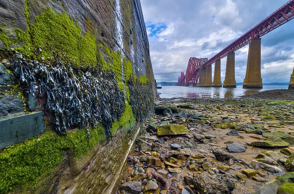 UK, Scotland, Edinburgh, Firth of Forth, Forth Railway Bridge