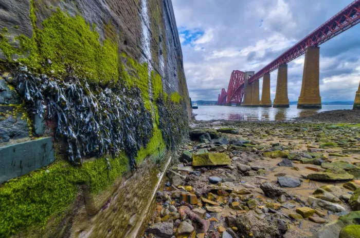 Framed Print : UK, Scotland, Edinburgh, Firth of Forth, Forth Railway Bridge