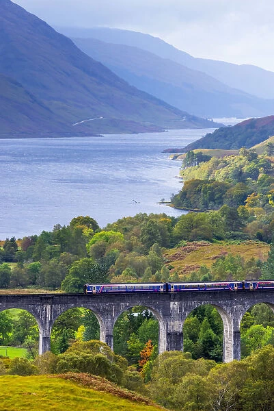 UK, Scotland, Highland, Loch Shiel, Glenfinnan, train on Glenfinnan Railway Viaduct