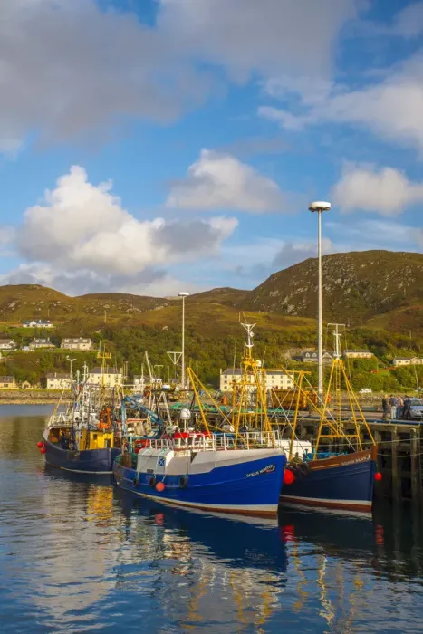 Framed Print : UK, Scotland, Highland, Mallaig Framed Print : UK, Scotland, Highland, Mallaig