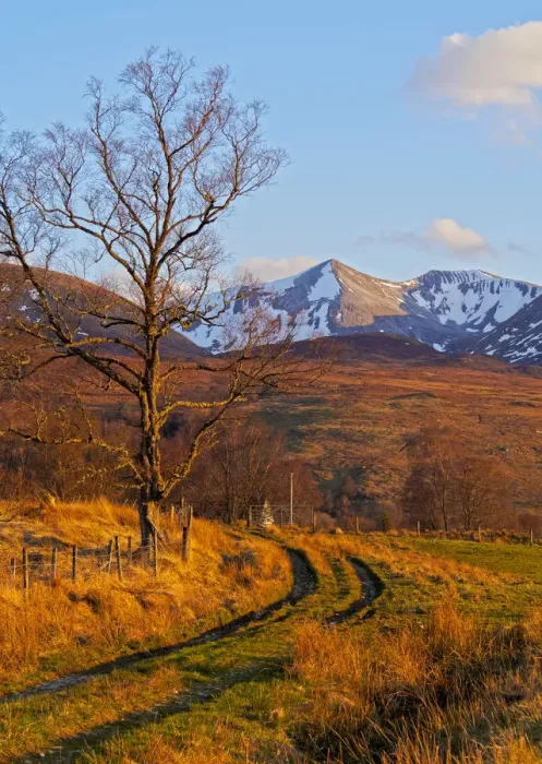 Framed Print : UK, Scotland, Highlands, Roy Bridge, View towards Stob Ban and the Grey Corries Framed Print : UK, Scotland, Highlands, Roy Bridge, View towards Stob Ban and the Grey Corries