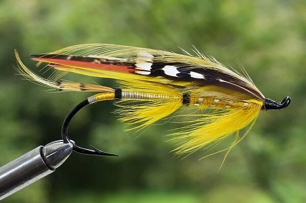 UK. A traditional salmon fishing fly