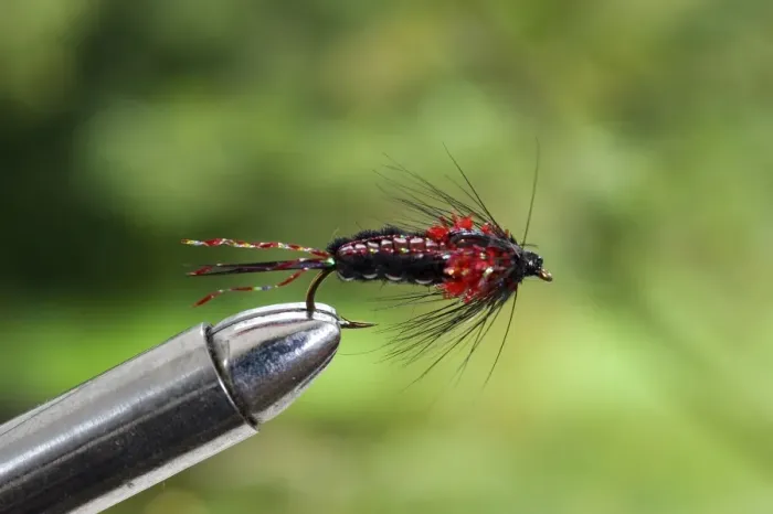Framed Print : UK. A trout fishing fly simulating a nymph secured in a fly-tying vice Framed Print : UK. A trout fishing fly simulating a nymph secured in a fly-tying vice