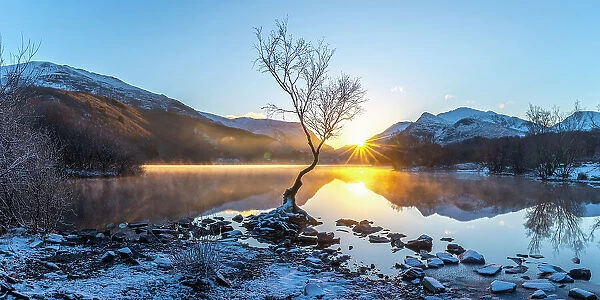 UK, Wales, Gwynedd, Snowdonia National Park (Parc Cenedlaethol Eryri), Llanberis, Llyn Padarn, Lone Tree at sunrise