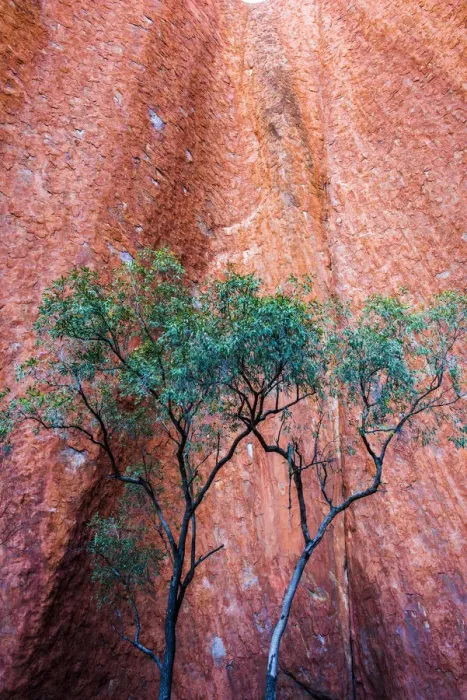 Framed Print : Uluru (Ayers Rock), Uluru-Kata Tjuta National Park, Northern Territory, Central Australia Framed Print : Uluru (Ayers Rock), Uluru-Kata Tjuta National Park, Northern Territory, Central Australia