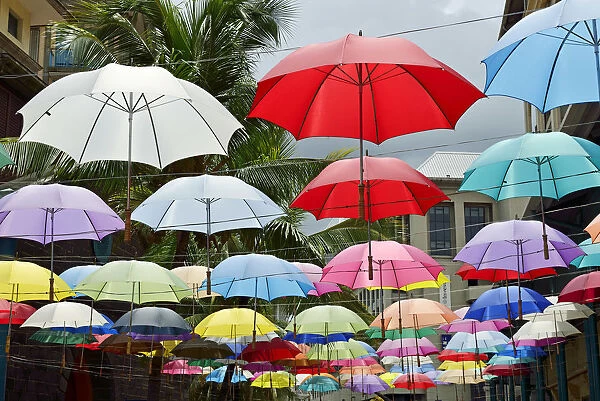 Umbrellas for part of a street decoration, Mauritius, Indian Ocean