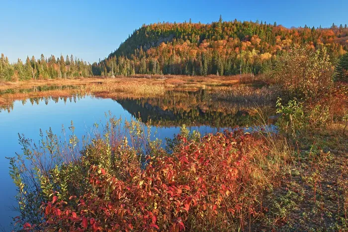 Framed Print : Unamed lake in autumn, Lake Superior Provincial Park, Ontario, Canada Framed Print : Unamed lake in autumn, Lake Superior Provincial Park, Ontario, Canada