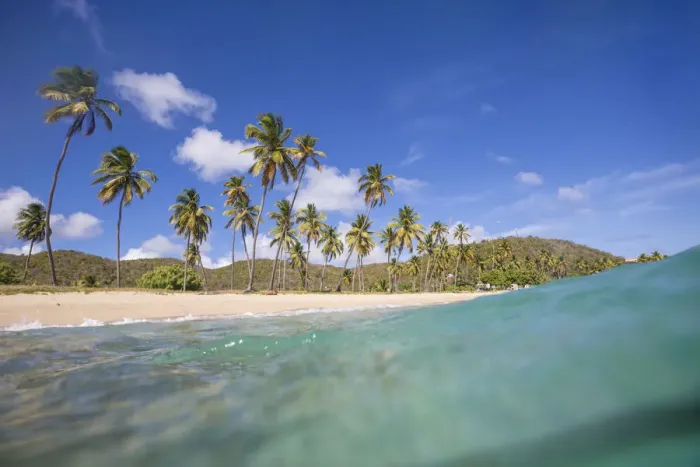 Framed Print : Underwater view of the sandy beach surrounded by palm trees Carlisle Morris Bay Antigua Framed Print : Underwater view of the sandy beach surrounded by palm trees Carlisle Morris Bay Antigua