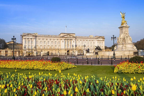 United Kingdom, England, London, Buckingham Palace, facade of the palace in Spring