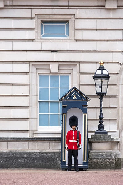 United Kingdom, England, London, Buckingham Palace, A soldier of the Queen