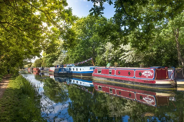 United Kingdom, England, London, Grand Union Canal. Canal boats moored near Wembley