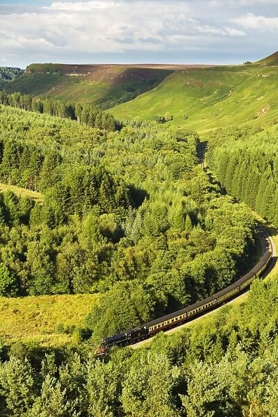 United Kingdom, England, North Yorkshire, Levisham. The steam train 61002, Impala