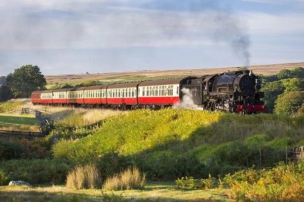 United Kingdom, England, North Yorkshire, Goathland. The steam train 6046, a USA Class S160 Engine