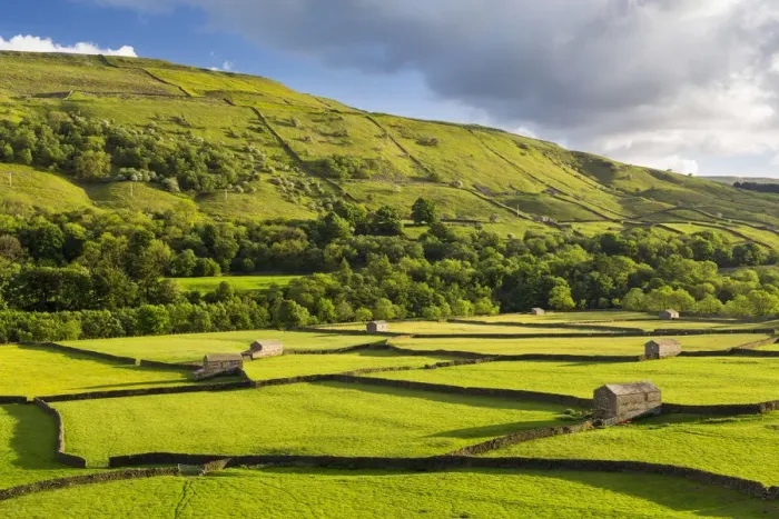 Framed Print : United Kingdom, England, North Yorkshire, Gunnerside. Traditional barns in Swaledale Framed Print : United Kingdom, England, North Yorkshire, Gunnerside. Traditional barns in Swaledale