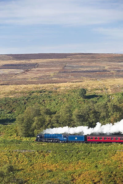 United Kingdom, England, North Yorkshire, Goathland. The Peppercorn Class A1 steam train