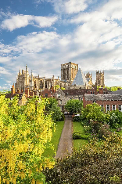 United Kingdom, England, North Yorkshire, York. The Minster on a Spring evening seen from the City Walls