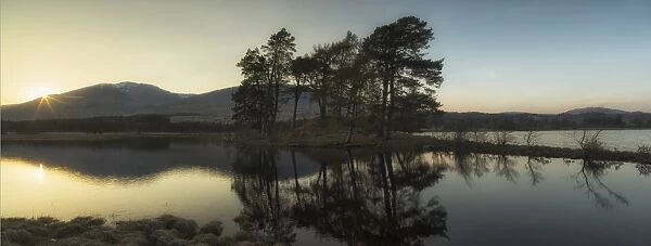United Kingdom, UK, Scotland, Highlands, Two scots pines at sunset at Loch Tulla