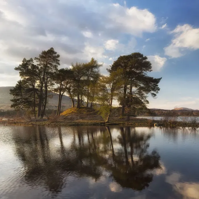 Framed Print : United Kingdom, UK, Scotland, Highlands, Two scots pines at sunset at Loch Tulla
