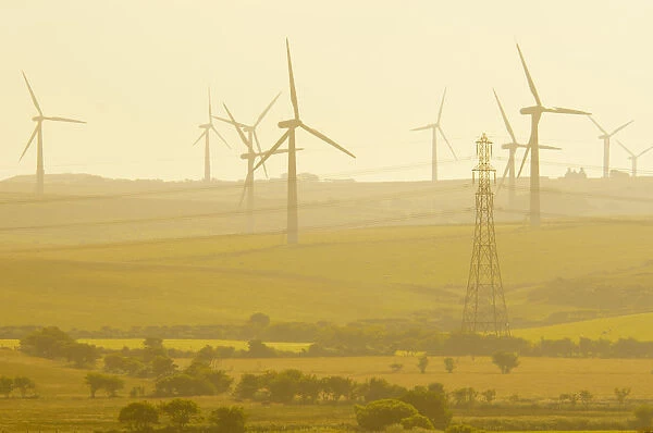 United Kingdom, Wales, Gwynedd, Anglesey, Wind Turbines
