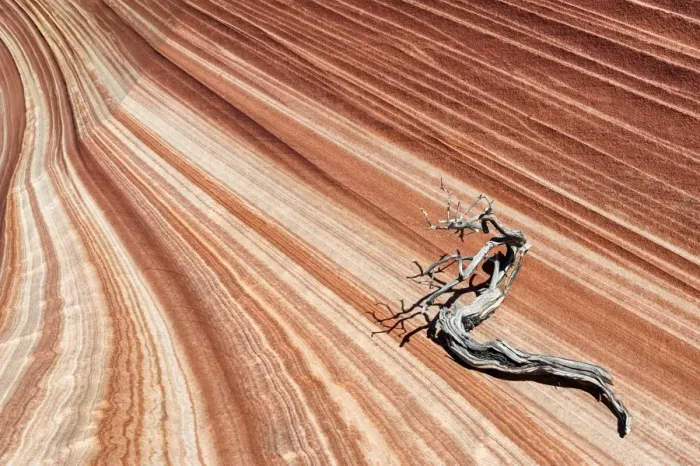 Framed Print : United States of America, Arizona, North Coyote Buttes Framed Print : United States of America, Arizona, North Coyote Buttes