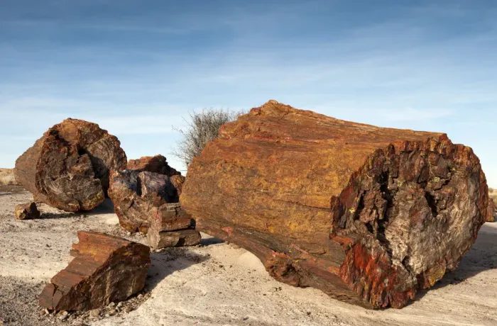 Framed Print : United States of America, Arizona, Petrified Forest National Park
