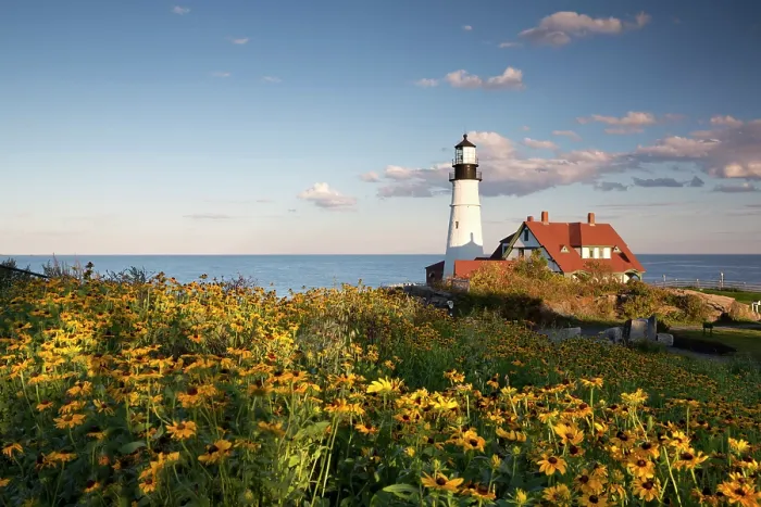 Framed Print : United States of America, Maine, New England, Portland, Yellow flowers in front Portland Head lighthouse Framed Print : United States of America, Maine, New England, Portland, Yellow flowers in front Portland Head lighthouse