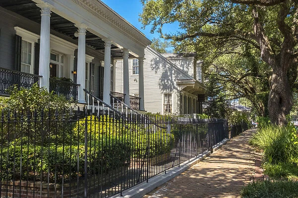 United States, Louisiana, New Orleans. Houses in the Garden District on Louisiana Avenue